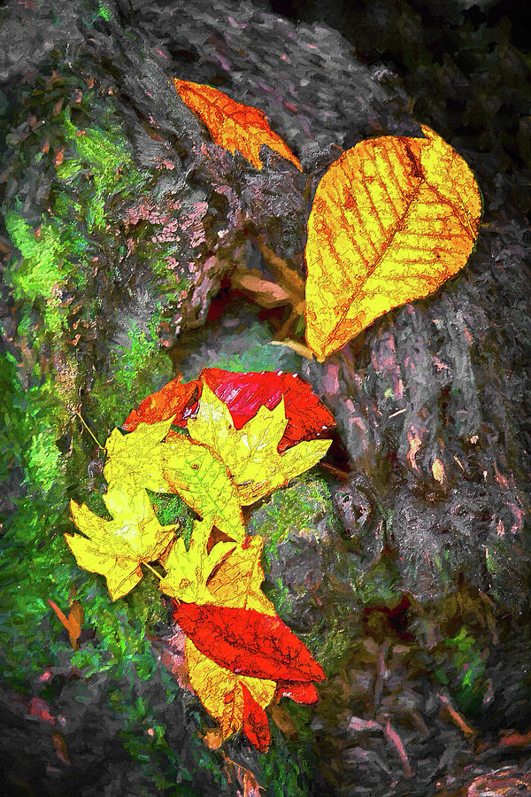 Autumn Leaves on Fall Wood ap Painting by Dan Carmichael