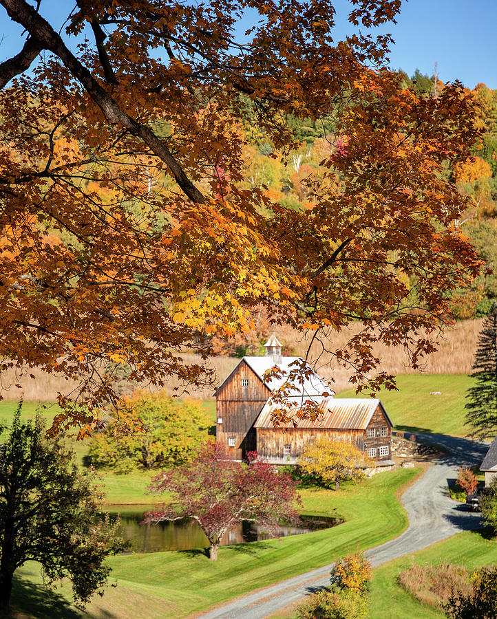 Autumn Leaves On Sleepy Hollow Farm Photograph by Dan Sproul