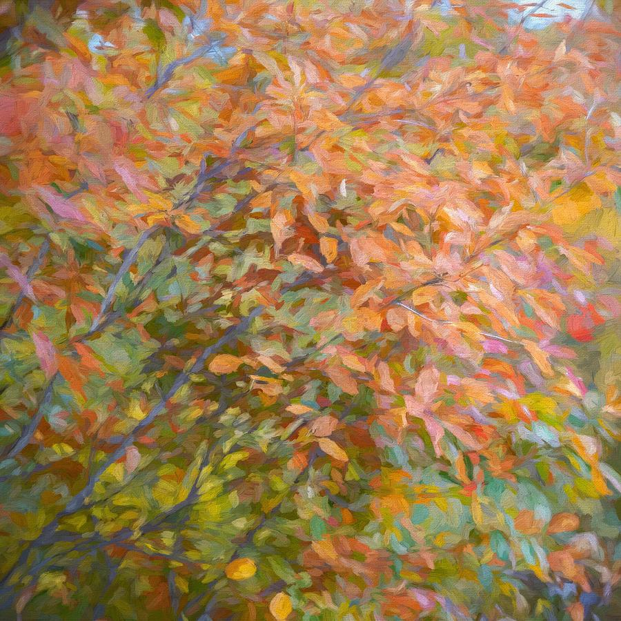 Autumn Leaves Painting Painting by Susan Rydberg