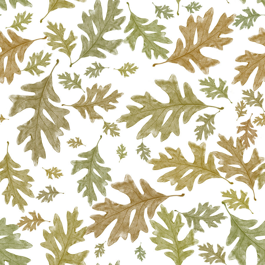 Autumn Leaves Pattern Mixed Media by Christina Rollo