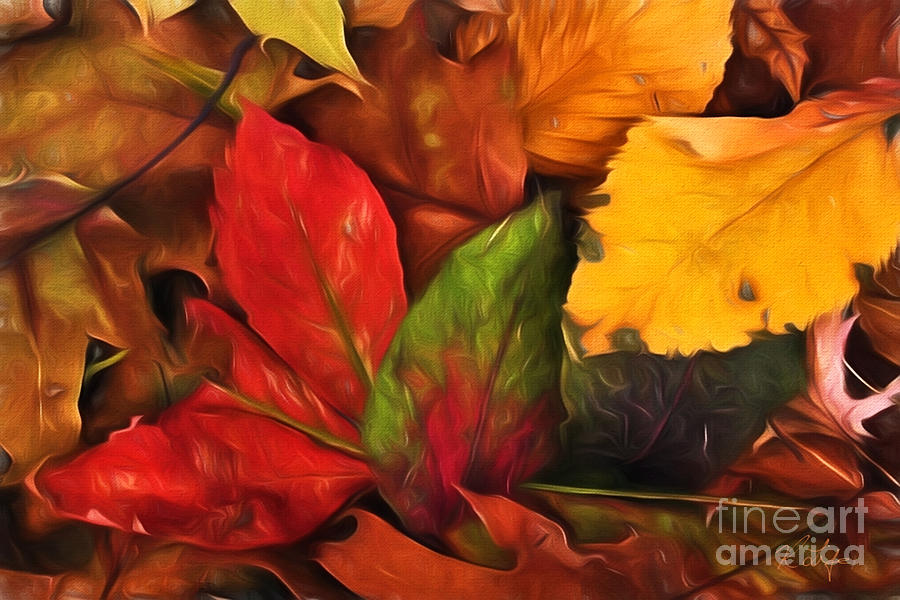 Botanical Photograph - Autumn Leaves by Rosanna Life
