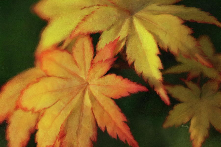 Autumn Leaves Digital Art by Russ Harris