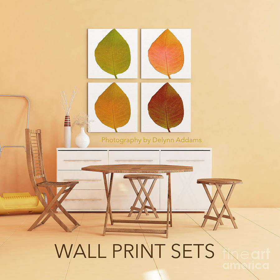 Autumn Leaves Set of Four Bundles for home Decorating with Prints or Canvas Digital Art by Delynn Addams