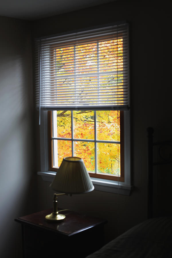 Autumn Leaves Through the Darkened Bedroom Window Photograph by Willowpix
