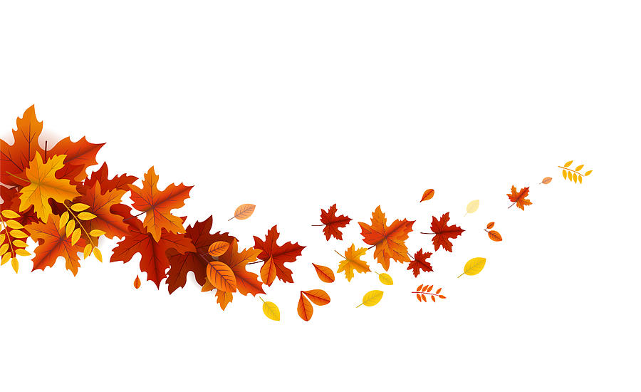 Autumn Leaves Wave Drawing by Amtitus