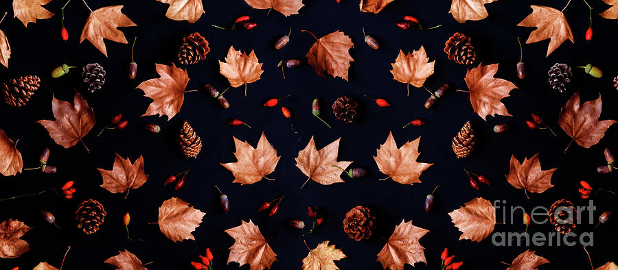Autumn leaves with acorn and cones composition pattern on dark b Photograph by Jelena Jovanovic
