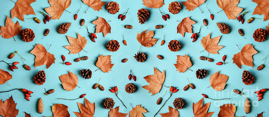 Autumn Leaves With Acorn And Cones Composition Pattern On Pastel Photograph