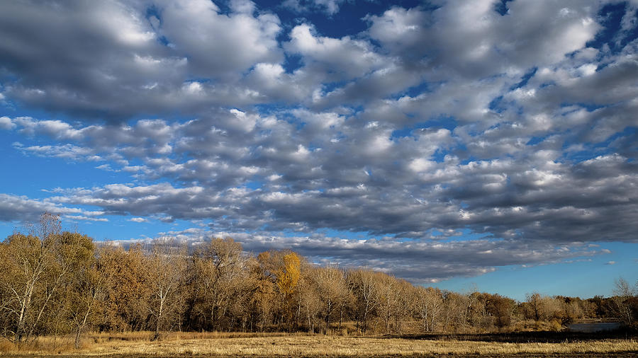 Autumn Light and Clouds Photograph by Monte Stevens