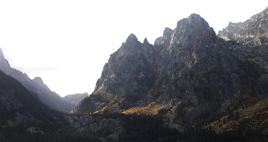 Autumn Light In The Tetons Photograph by Dan Sproul