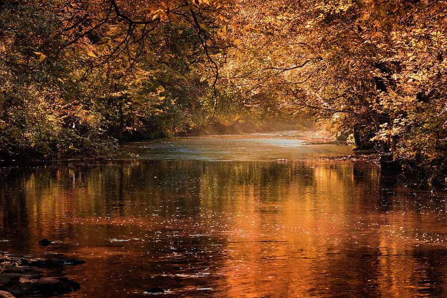Autumn Light on Wilsons Creek Photograph by Allin Sorenson