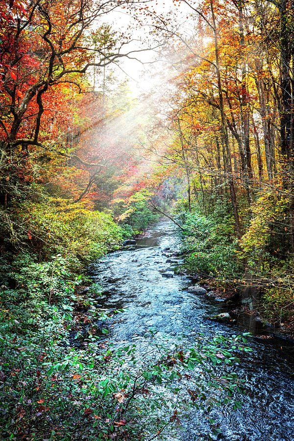 Autumn Light over the River Photograph by Debra and Dave Vanderlaan