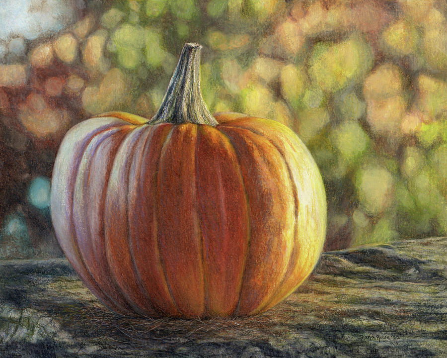 Autumn Light Drawing by Shana Rowe Jackson