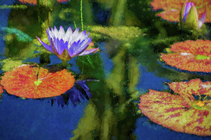 Autumn Lily Pad Impressions Digital Art by Georgia Mizuleva