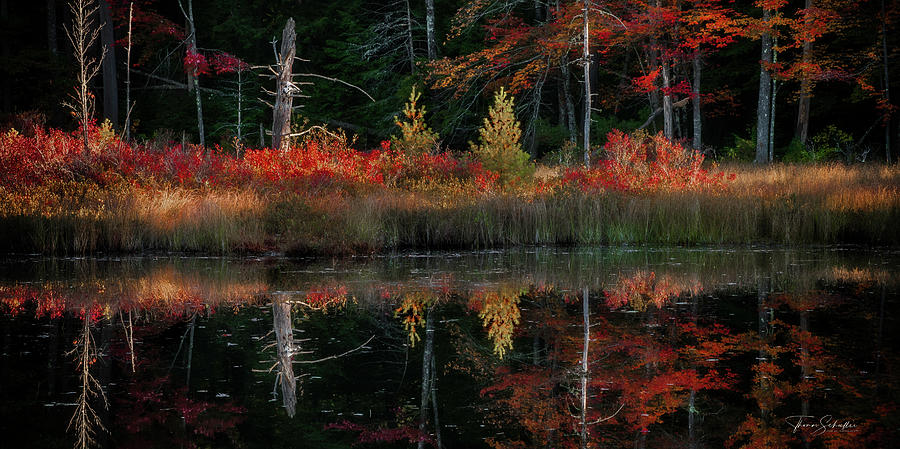 White Mountains New Hampshire Pond -  Autumn Morning Reflections Photograph by Photos by Thom