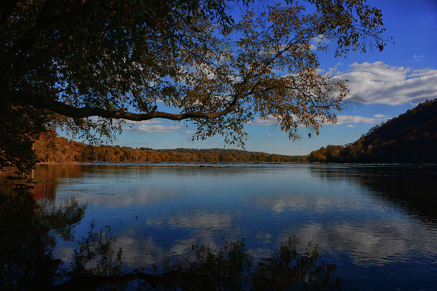 Autumn Lined Potomac River Maryland  Photograph by Raymond Salani III