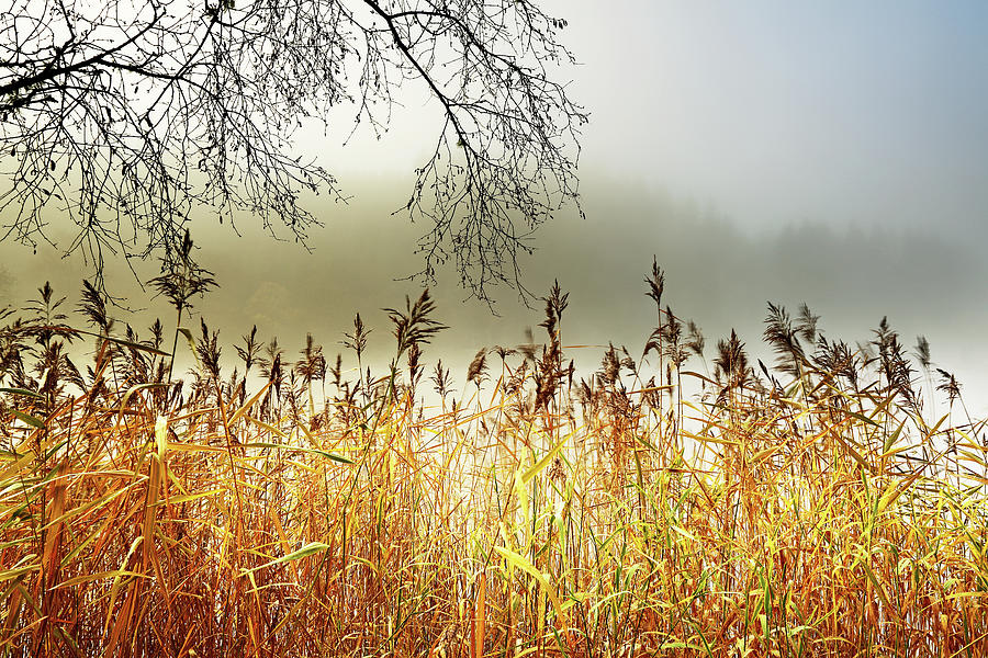Autumn Loch Ard  Photograph by Grant Glendinning