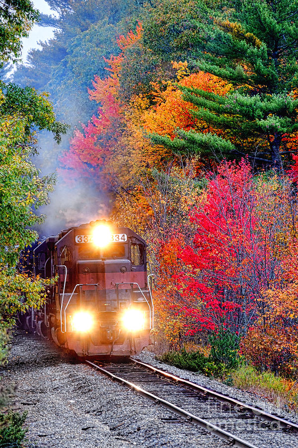 Autumn Locomotive Photograph by Olivier Le Queinec