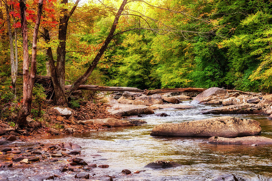 Autumn Logs Across West Virginia River Photograph by Dan Carmichael