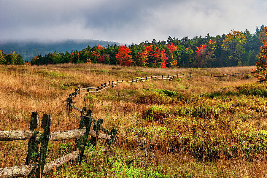 Autumn Long Wood Fence Photograph by Dan Carmichael