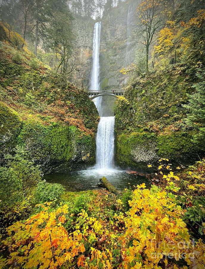 Autumn Magic of Multnomah Falls Photograph by Carol Groenen