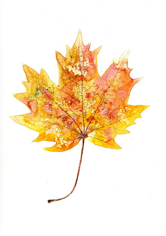 Autumn maple leaf Painting by Nataliya Vetter