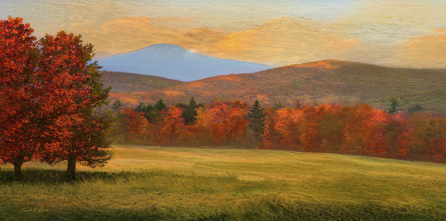 Autumn Maples D Digital Art by Frank Wilson