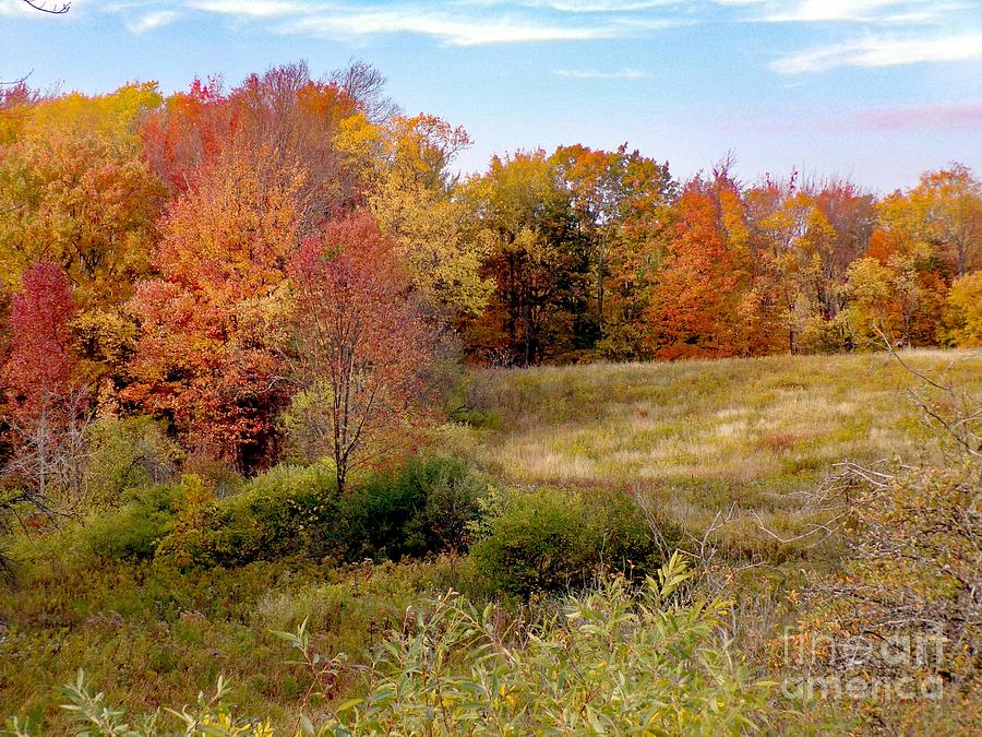 Autumn Meadow Photograph