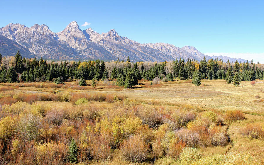 Autumn Meadow in the Tetons Photograph by Robert Carter