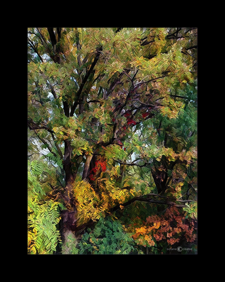 Autumn Melange Photograph by Tim Nyberg