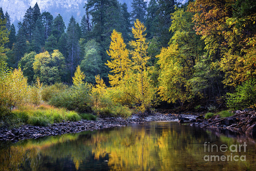 Autumn, Merced River 2 Photograph by Anthony Michael Bonafede
