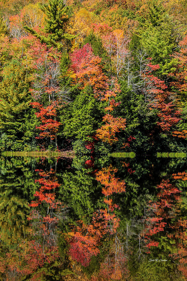 Autumn Mirror Photograph by Dale R Carlson