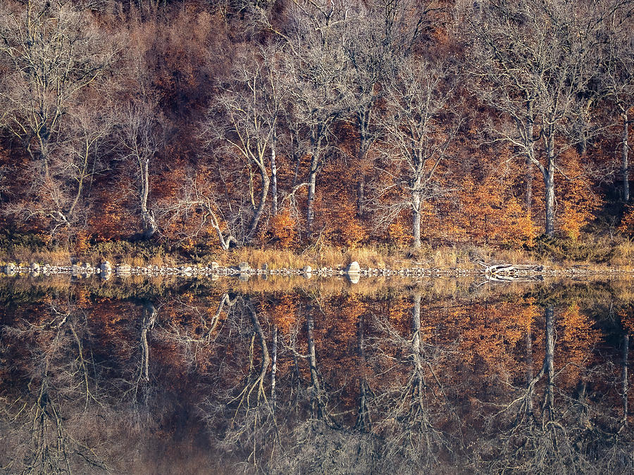Autumn Mirrored Photograph by Penny Meyers