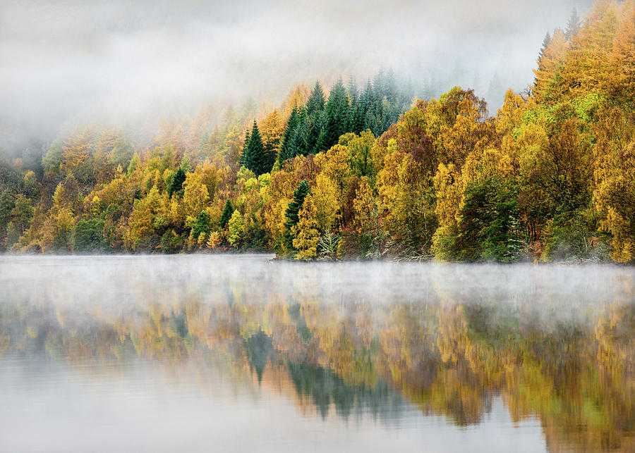Autumn Mist Photograph by Dave Bowman