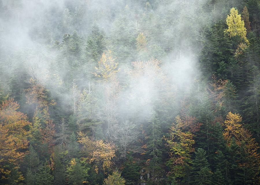 Autumn Mist in the Vallee DAure Photograph by Stephen Taylor