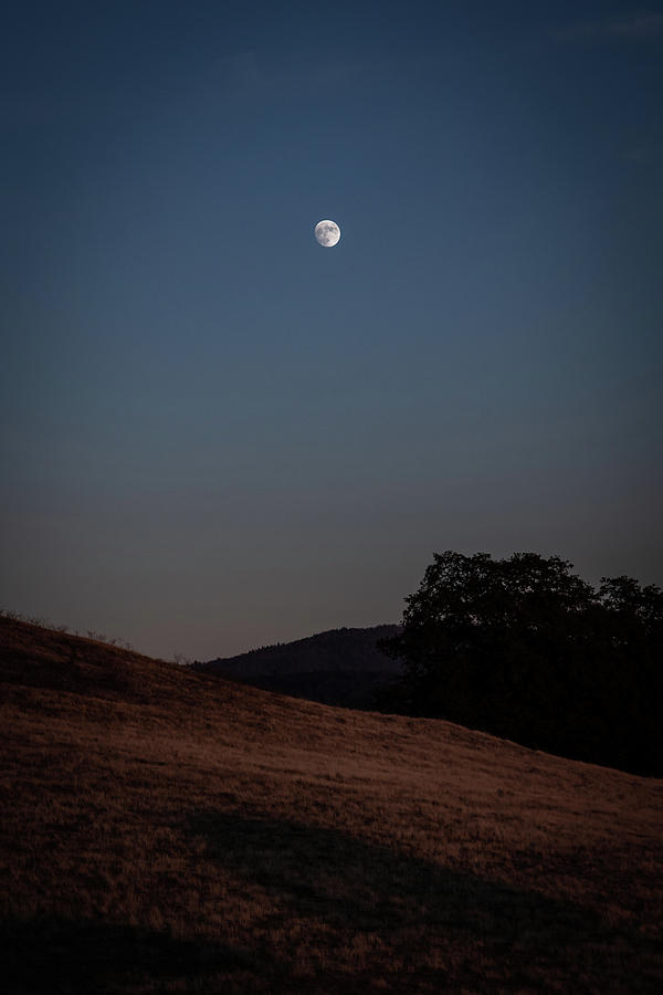 Autumn Moon Photograph by Brian Anderson Autumn Moon Photograph by Brian Anderson