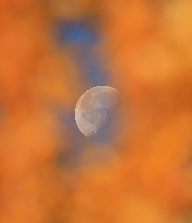 Fall Photograph - Autumn Moon by Dan Sproul