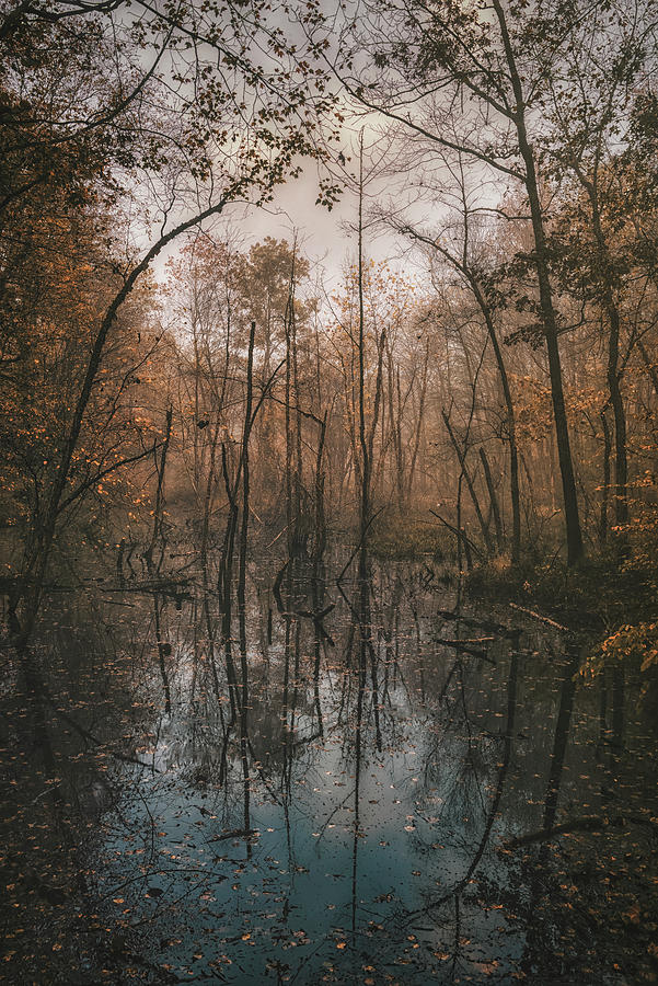 Autumn Morning 5 Photograph by Robert Fawcett
