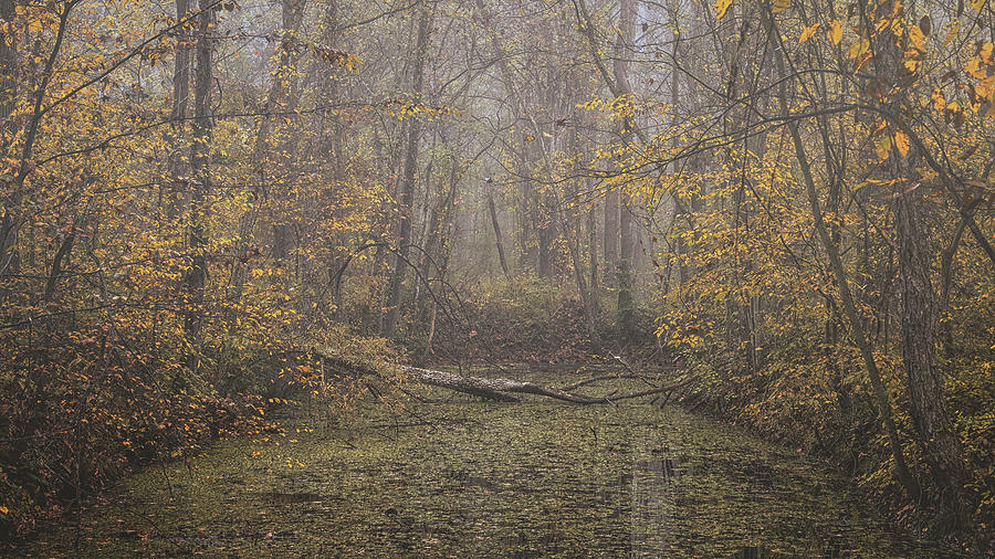 Autumn Morning 6 Photograph by Robert Fawcett