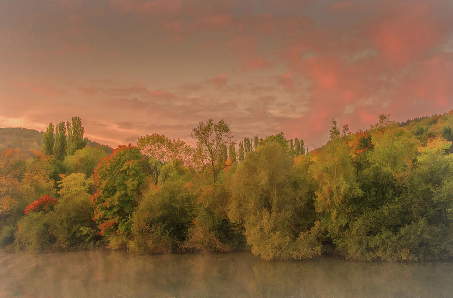 Autumn Morning Along the Shore of the River Seine Photograph by Marcy Wielfaert
