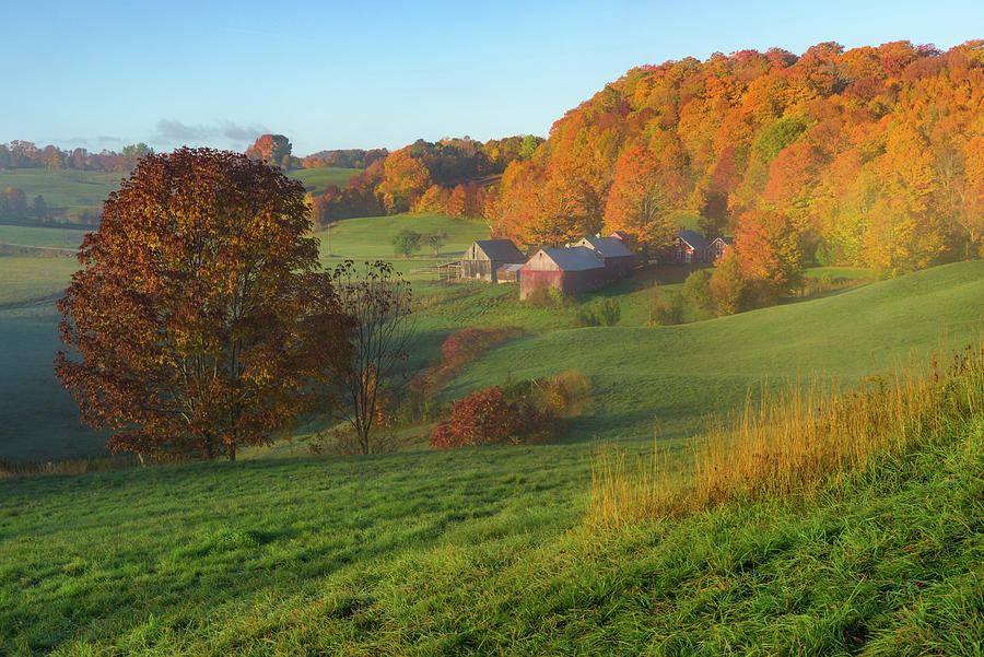 Autumn Morning at Jenne Farm Photograph by Kristen Wilkinson