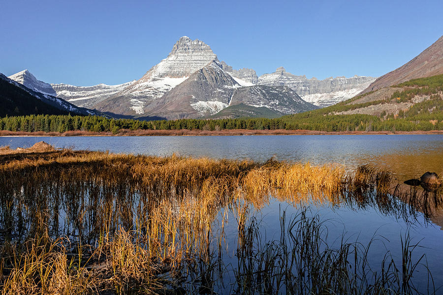 Autumn Morning At Swiftcurrent Lake Photograph