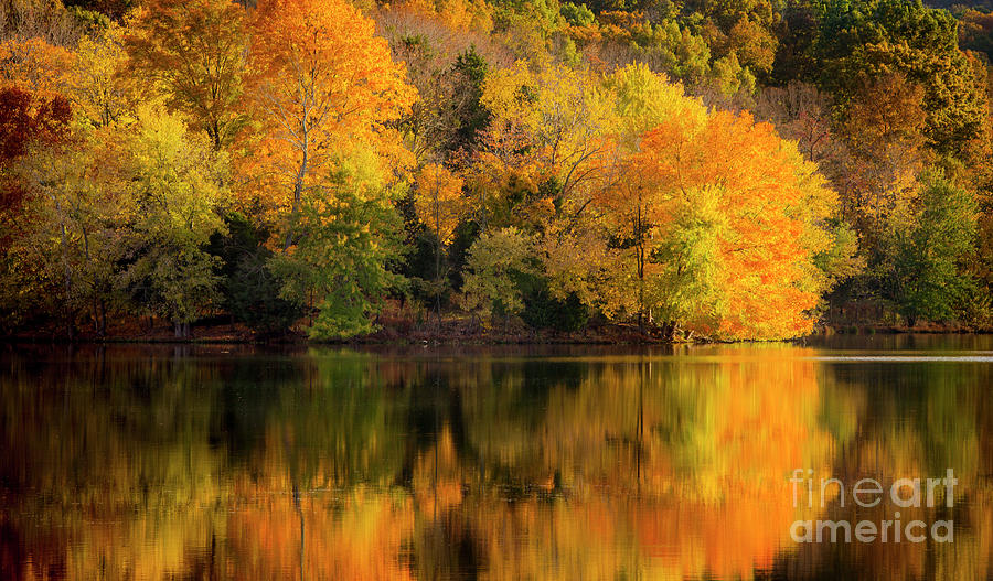 Autumn Morning at the Lake Photograph by Brian Jannsen