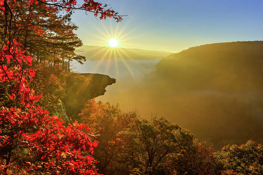 Autumn Morning Glory At Hawksbill Crag - Ozark National Forest Photograph by Gregory Ballos
