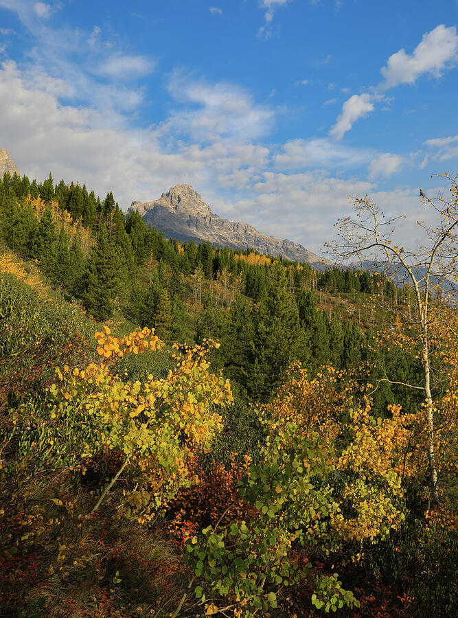 Autumn Morning Hiking Grand Tetons Photograph by Dan Sproul