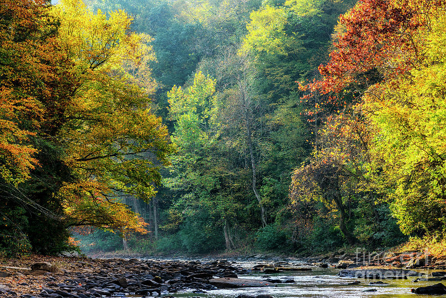 Autumn Morning Light Williams River Photograph