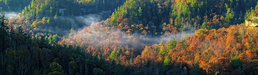 Autumn Morning Mist Photograph by Monroe Payne
