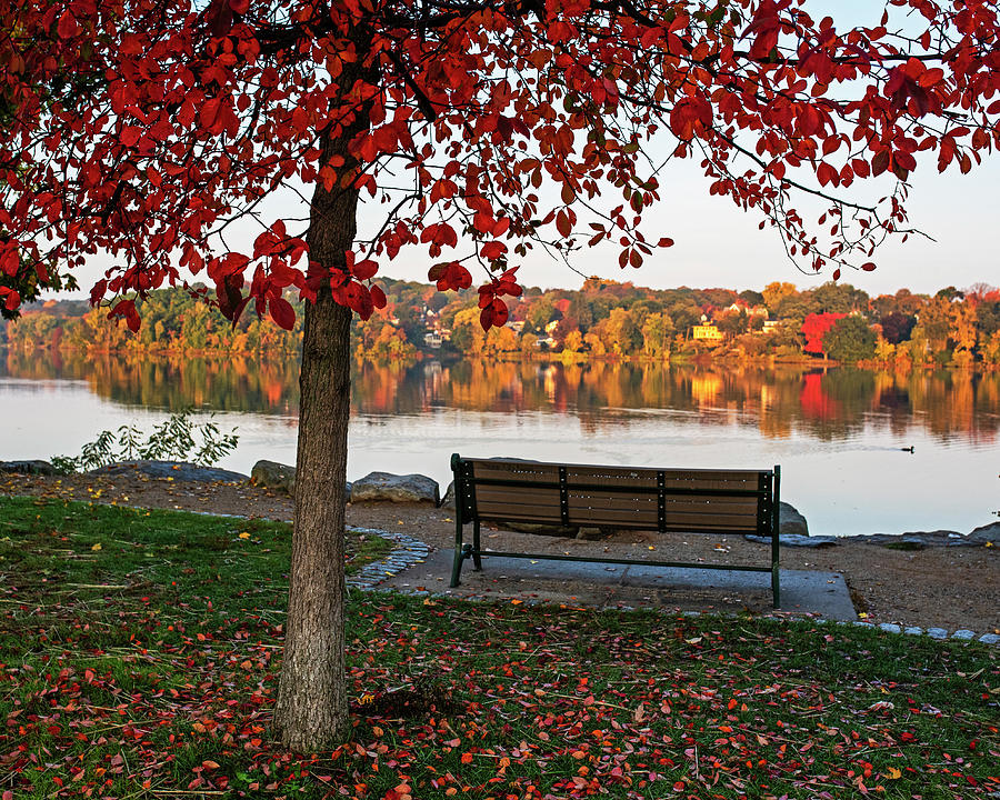 Autumn Morning on Spy Pond in Arlington Massachusetts Fall Foliage Photograph by Toby McGuire