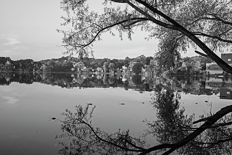 Autumn Morning on Spy Pond in Arlington Massachusetts Fall Foliage Tree Branch Reflection BW Photograph by Toby McGuire
