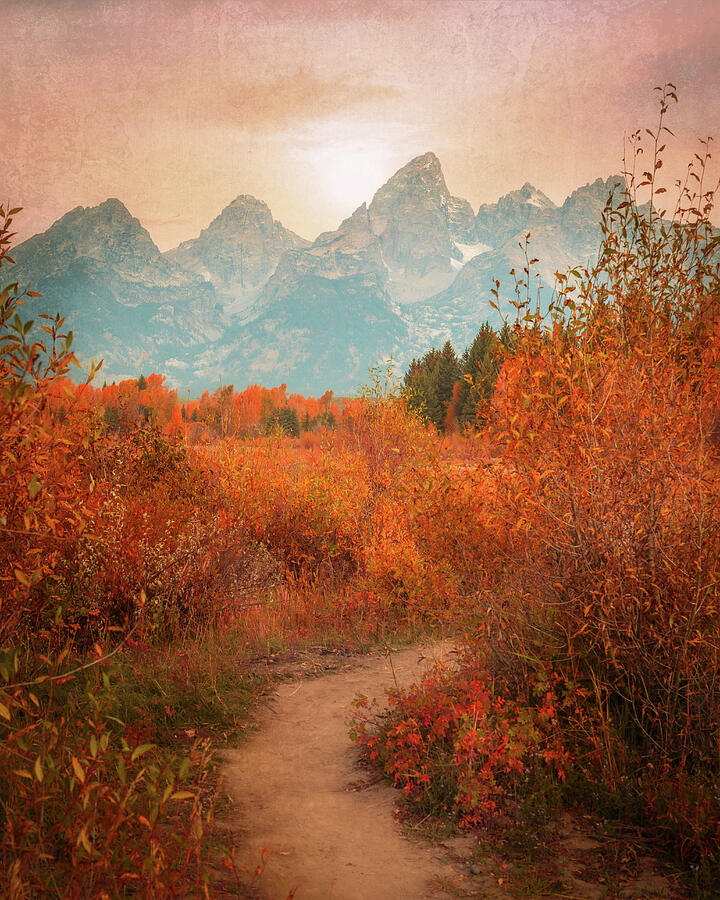 Autumn Morning Path Grand Teton National Park Photograph by Dan Sproul Autumn Morning Path Grand Teton National Park Photograph by Dan Sproul