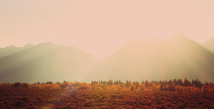 Autumn Morning Sunrise Grand Tetons Photograph by Dan Sproul